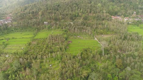 tropische-Landschaft-mit-landwirtschaftlichen-Flächen-in-Indonesien