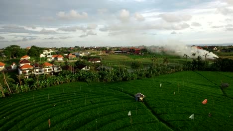 aerial-sidesweep---burning-over-lush-rice-terrace