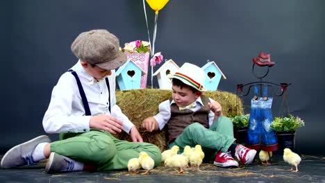 Zwei-Dorf-spielen-stilvoll-gekleidete-jungen-mit-Enten-und-Hühner,-im-Hintergrund-ein-Heuhaufen,-farbigen-Vogel-Häuser,-Luftballons-und-Blumen