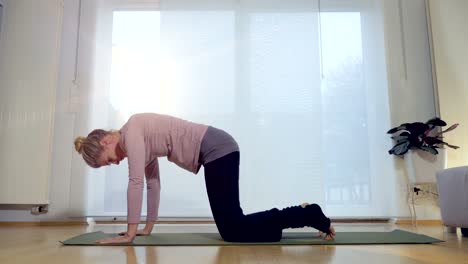 Living-Room-Yoga:-Downward-Facing-Dog