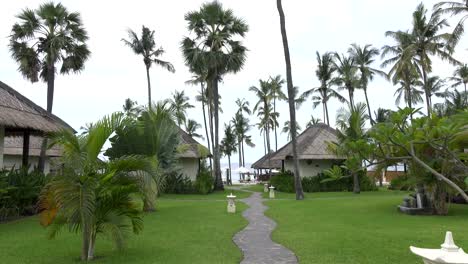 Panoramic-view-of-a-palm-tree-the-sea-and-the-pool-on-tropical-the-resort-of-Bali-Indonesia