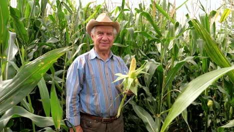 Porträt-von-einem-alten-Bauern-In-einem-Hut-Lächeln-hält-Cob-Mais