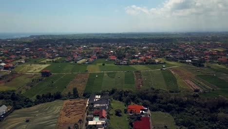 plantations-in-bali-indonesia