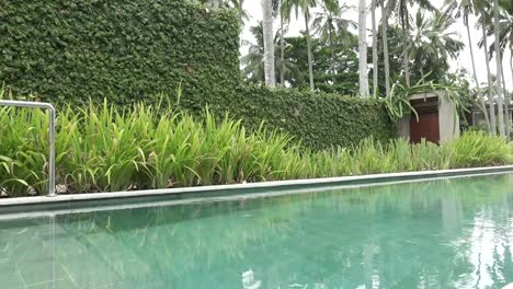 A-view-of-the-territory-of-the-tropical-resort-with-the-pool-palm-trees