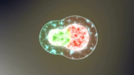 células-bajo-el-microscopio-la-vacuna-destruye-el-antídoto-contra-el-virus