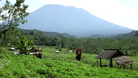 view-on-rice-terraces-of-mountain-and-house-of-farmers.-Bali,-Indonesia-.UHD-4K