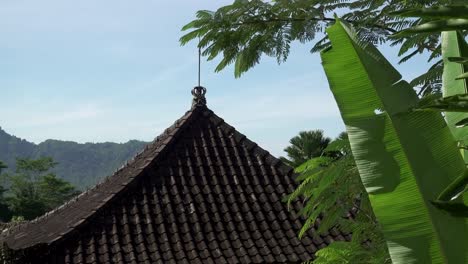 Blick-auf-die-Reisterrassen-von-Berg-und-Haus-des-Bauern.-Bali,-Indonesien