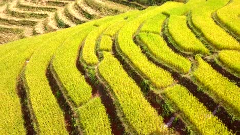 Aerial-view-from-dorn-Rice-Terrace-Rice-terraces-at-pa-pong-pieng-in-Mae-Chaem,-Chiang-Mai,-north-of-Thailand