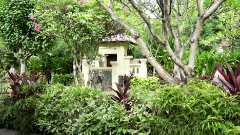 The-camera-moves-on-a-tropical-garden-with-the-pool-lengthways-the-blossoming-trees.-Bali.-Indonesia.