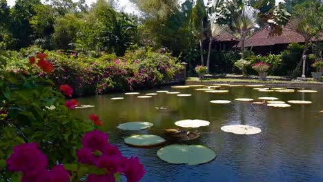 Tirta-Gangga---the-water-palace-in-Bali.