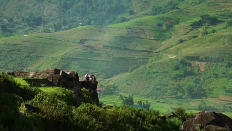 Asian-farmers-sit-under-the-umbrella-in-the-rice-fields-in-Sapa,-Vietnam-Asia