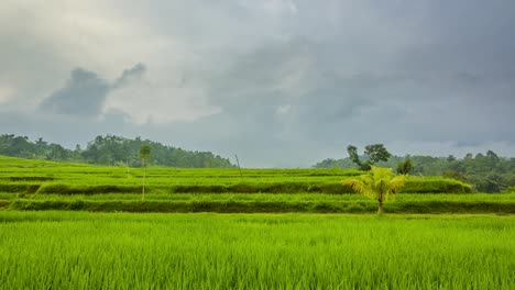 Evening-Clouds-over-Rice-Terraces.-Time-Lapse