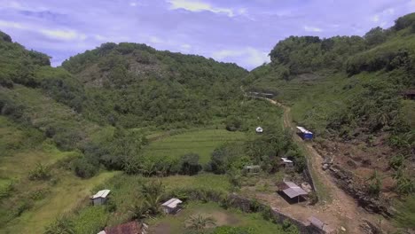 Campos-de-arroz-en-vista-aérea-de-Java,-Indonesia