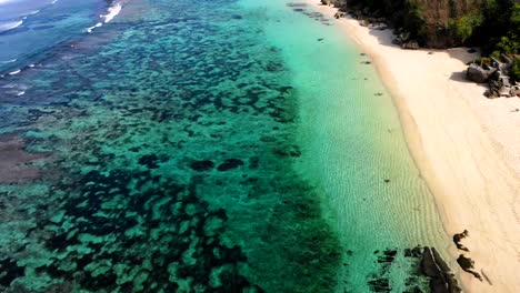 Luftbild-mit-tropischen-Strand-mit-türkisfarbenem-Meerwasser