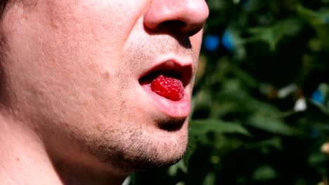 Man-eats-raspberries,-mouth-close-up.