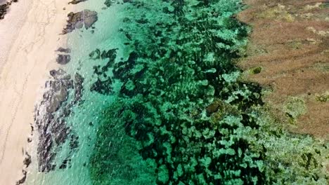 Luftaufnahme-von-Strand-mit-türkisfarbenem-Wasser-in-tropischen-Insel