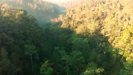 Impresionante-vista-del-abejón-con-el-bosque-tropical-de-Bali.-Vista-aérea