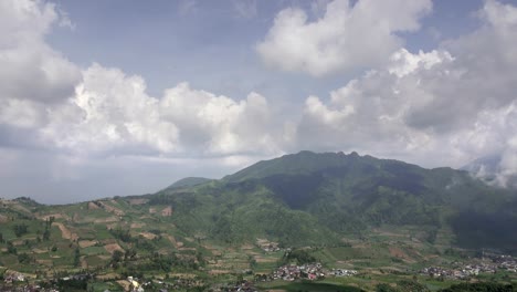 Java,-Indonesien.-Hügel-mit-Grundstücken-der-Reisfelder-von-unterschiedlichem-eine-Reife