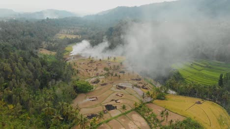 Terrazas-de-arroz,-cocoteros-y-bosque-en-Bali.-Video-aéreo