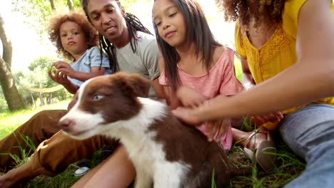 Atractivo-Papá-le-causa-gracia-como-su-hermosa-mujer-recibe-cachorro-besos.