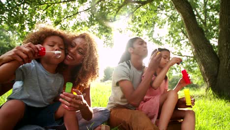 Junge-attraktive-afroamerikanische-Familie-Blasen-Blasen-in-der-Sonne.