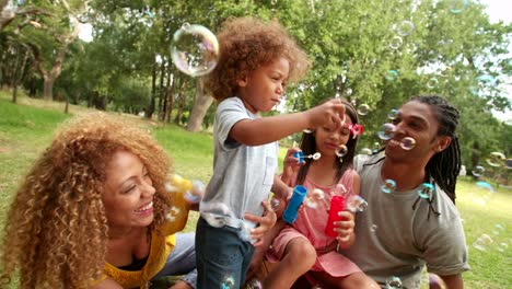 Schöne-afrikanische-amerikanische-Familie-mit-einem-Picknick-und-Blasen-Blasen.