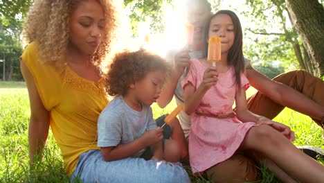 Young-attractive-couple-spending-time-in-the-sun-with-children