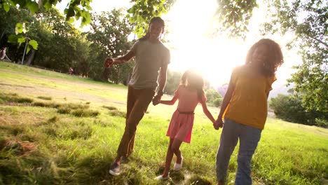 Afrikanische-amerikanische-Familie,-die-einen-Spaziergang-in-eine-schöne-Park