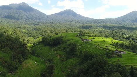 Aerial-video-in-an-amazing-landscape-rice-field-on-Bali,-Indonesia