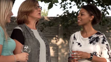 Women-talking-on-family-party