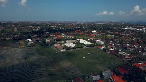 Blick-auf-Reisfelder-auf-bali