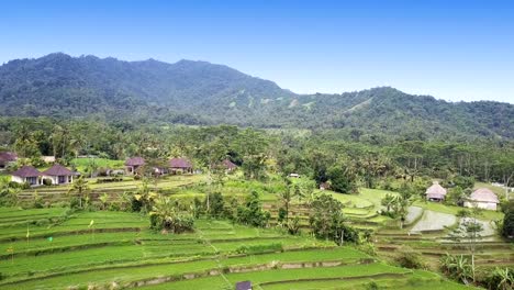 vista-aérea-de-zángano-de-terrazas-de-arroz-de-la-montaña-y-la-casa-de-los-agricultores.-Bali,-Indonesia.-UHD-4K