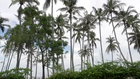 Panoramic-view-of-a-palm-tree-the-sea-and-the-pool-on-tropical-the-resort-of-Bali-Indonesia