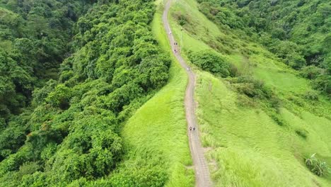 Erstaunliche-Aerial-View-Campuhan-Gratwanderung-im-Sonnenlicht