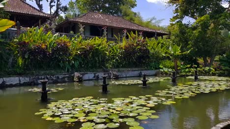 Tirta-Gangga---Wasserpalast-in-Bali.