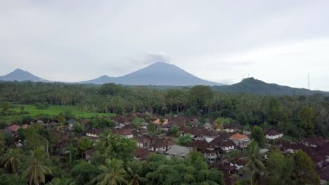 Drone-shot-of-a-young-woman-walking-near-rice-field-in-Asia.-Woman-travelling-in-Bali,-rice-terrace