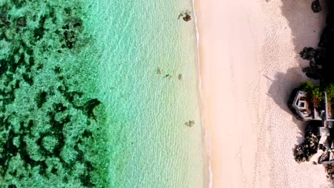 Vista-superior-de-playa-tropical-con-agua-de-mar-de-color-turquesa,-secuencias-del-abejón-aéreo