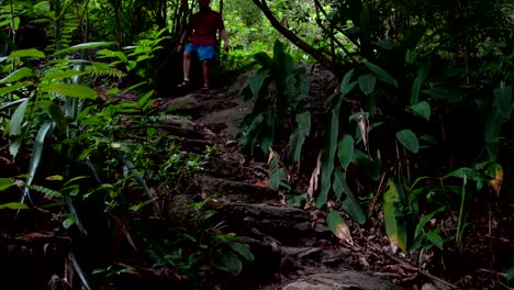 El-hombre-desciende-los-escalones-de-piedra-en-la-selva