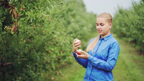 mano-de-mujer-recogiendo-una-manzana