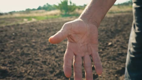 Grano-en-la-mano-de-un-granjero-en-el-fondo-de-la-tierra,-el-trigo-se-vierte-a-través-de-los-dedos-de-un-hombre-en-el-campo