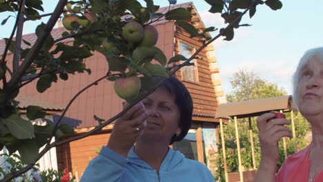 Two-senior-women-trying-apples-in-orchard-near-big-house