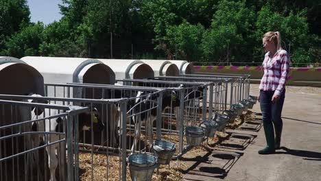 Junges-Mädchen-Spaziergänge-rund-um-den-Bauernhof