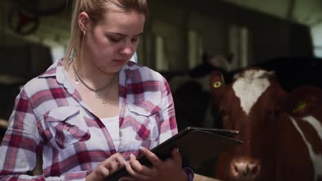 Beautiful-girl-writes-information-about-cows-on-the-tablet