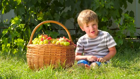 Fruit-garden