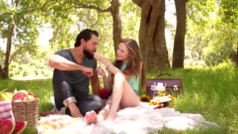 Fröhlich-lächelnd-Paar-mit-einem-Picknick-im-park-und-spielerisch-Füttern-jedes-andere-Obst