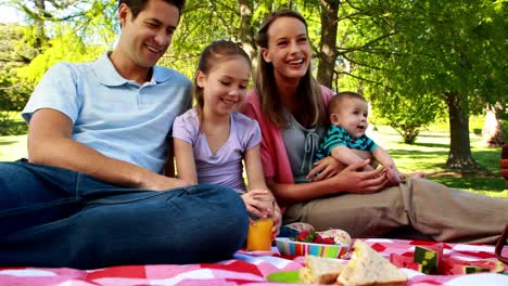 Happy-family-enjoying-a-picnic-in-the-park