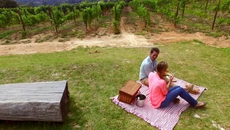 Drone-footage-of-couple-having-a-picnic