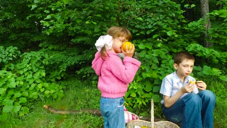 Kinder-haben-eine-Pause-im-Wald.-Abendessen-im-Wald-Obst.-Junge-teenager-Essen-apricot.