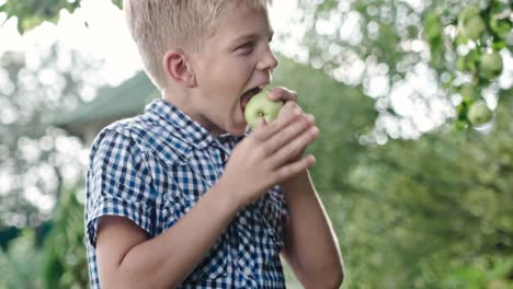 Junge-Essen-saurer-Apfel