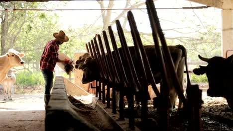 Cámara-lenta-granjero-campesino-hombre-en-el-trabajo-en-granja